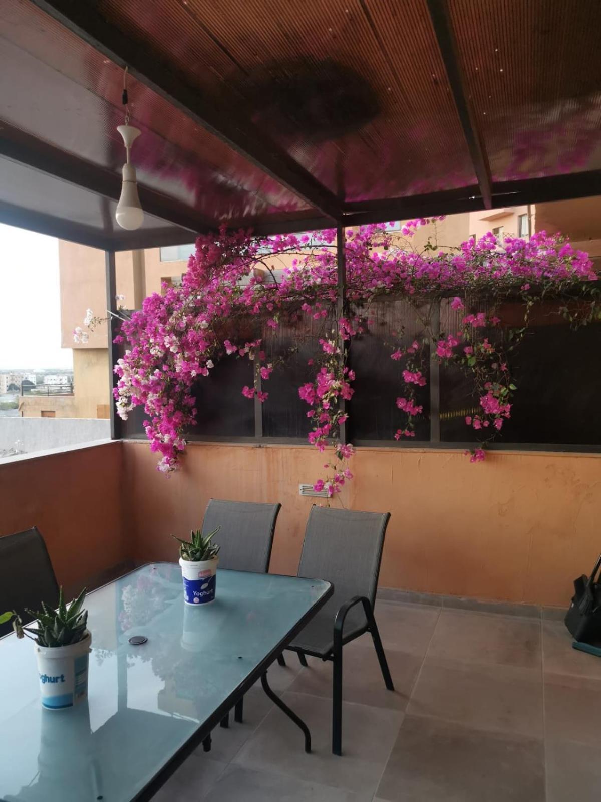 A Wonderful Stay At The Dead Sea Sweimeh Exteriör bild